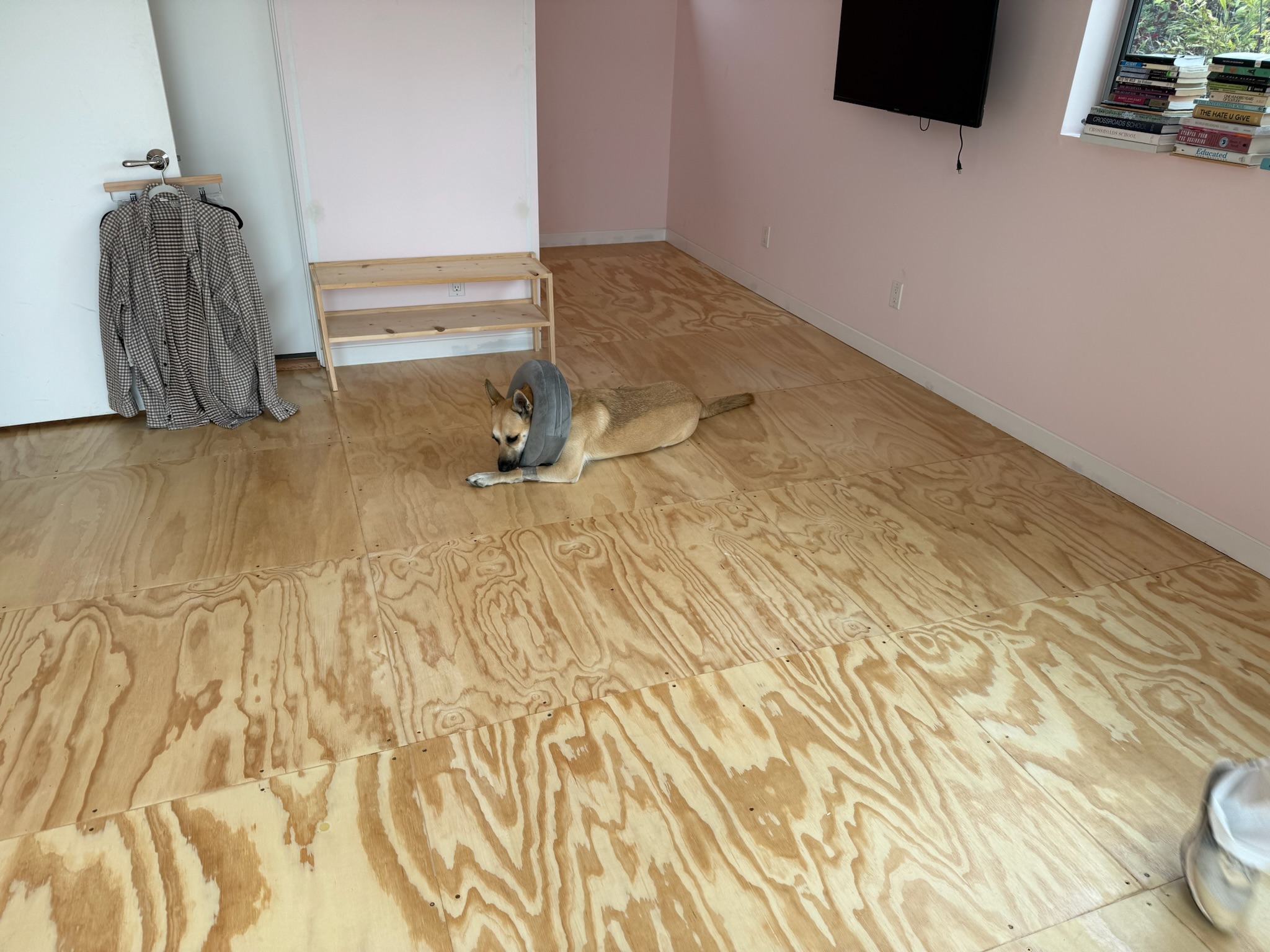 AJ Build project